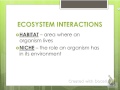 Ecology Concepts and Interactions