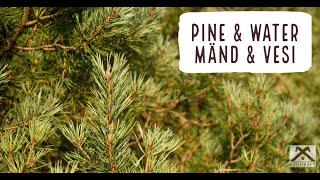 Pine & Water │ Mänd & Vesi