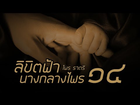 ลิขิตฟ้า นางกลางไพร ตอนที่ 14 # ไพรราตรี