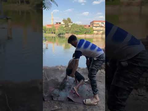 كواليس الافريقي شوف عملت ايه ف الاخر 😂😂😂#shorts #shorts