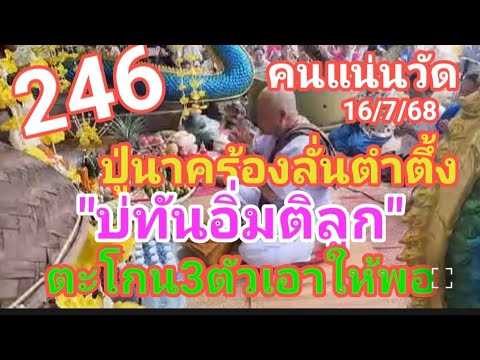 246 คนแห่แน่นวัด ปู่นาคร้องลั่นตำตึ้ง บ่ทันอิ่มติลูก ตะโกนลั่น 3 ตัวเอาให้พอ