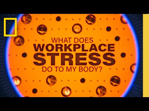 Burnt Out? | What Does Workplace Stress Do To My Body | National Geographic