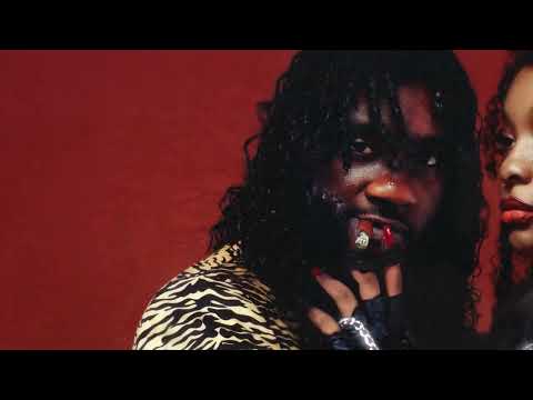 Chicken P - Chick James (Official Visualizer)