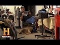 Understanding Wy: The German Shepherd