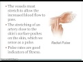 Blood Pressure and Pulse Rate Assessment