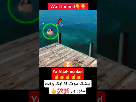 Allahu Akbar👆 #viral #shorts #viralvideo #viralvideos #viralshort #viralshorts #status #short #video