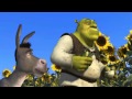 Understanding Ogres and Onions