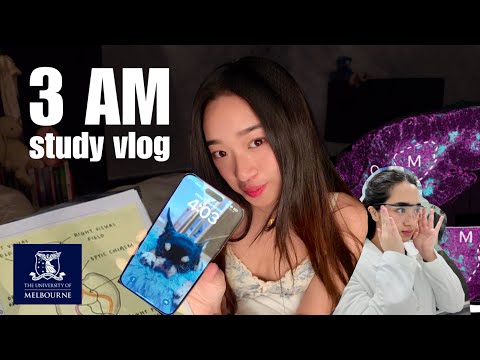 3AM STUDY VLOG: Life as an Academic Weapon 📚🔪