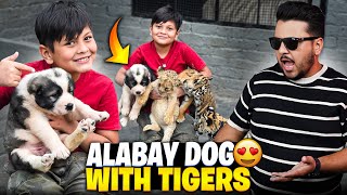 Tigers k ly Alaby Dog Le Aya 😍 Azan Khush Ho Gya 😍 | Nouman Hassan