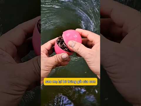 Mẹ bỏ trứng ăn sáng của mình xuống xoáy nước 🌍🦕🤮