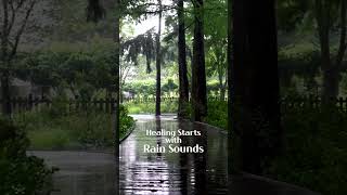 Healing Starts with Rain - Rain Sounds on a Green Forest Deck Trail  #rainsoundforsleep #rainsounds