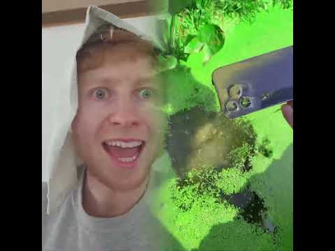 Toddlers For No Reason #fypシ゚viral #pov #foryoupage #fypツ