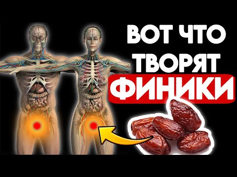 Всего ТРИ ФИНИКА В ДЕНЬ запустять необратимые процессы в вашем организме | Вред и Польза Финики