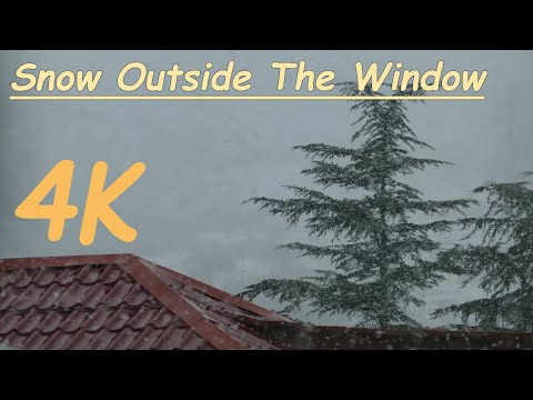4K Snowflakes from the window onto the fir trees and the roof of the house - Snowstorm winter Sounds