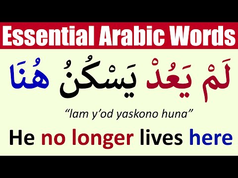 Top 6 Essential Arabic Words You MUST Know for Daily Conversations! | Learn Arabic Language