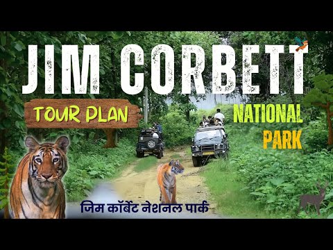 Jim Corbett National Park | Tiger Sighting | Jungle Safari Uttarakhand | Tour Guide | Dhikala Zone