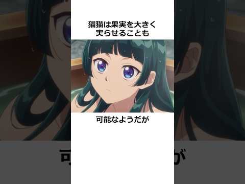 ㊗️180万回再生！猫猫がつつましい体型をしている理由#薬屋のひとりごと #アニメ
