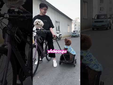 Baba Bir Şey SÖYLEYECEM Dur !😱