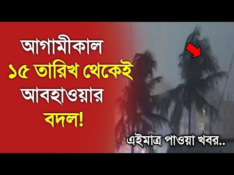 আবহাওয়ার খবর আজকের, 11 February 2025, Bangladesh Weather Report