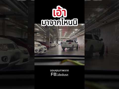 แล้วเขาคนนั้น ก็แย่งที่จอดรถไปจากฉัน #หมีไม้กั้น #ขับรถ #แย่ง #ลานจอดรถ #ที่จอดรถ