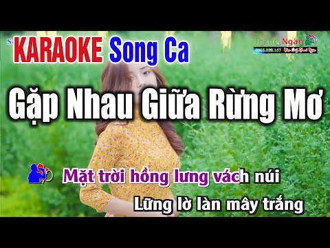 Gặp Nhau Giữa Rừng Mơ Karaoke 2022 Song Ca | Karaoke Nhạc Sống Thanh Ngân