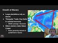 Colonial America and Slavery Concepts