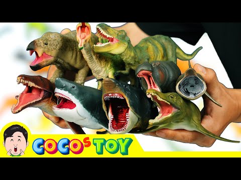 Catch the big mouthed animals!｜Cartoon for children｜CoCosToy