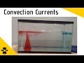 Convection Currents and Water Behavior