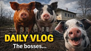 DAY 31 👋 The last Vlog 🚜🐖📣