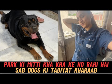 Park Ki Mitti Kha Kha Ke Sab Dogs Ho Rahe Hain Bimaar. !!!