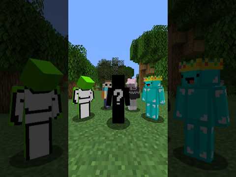 Dream SMP's Newest Member...