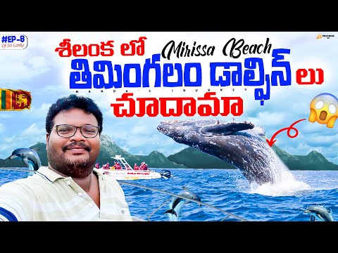 Mirissa full tour in telugu | Mirissa beach | Whale watching | Dolphins watching | Ep-8 of Sri Lanka