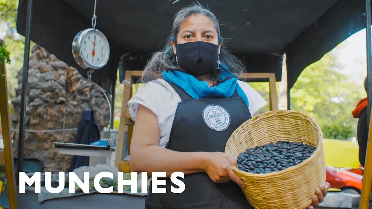 Saving Mexico s Native Beans from Extinction