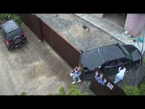 Girl Stops Yard Gate From Closing and Hitting Her Car