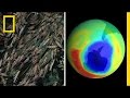 Understanding Environmental Impact and Group Behavior