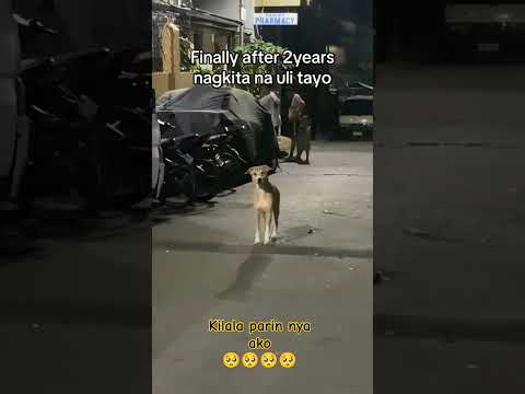 KALA KO HINDE NYA NA AKO KILALA🥺🥺#followers #dogowner #viralvideo #petowner #viralreels #petlover