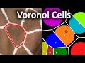 Voronoi Cells and Their Applications