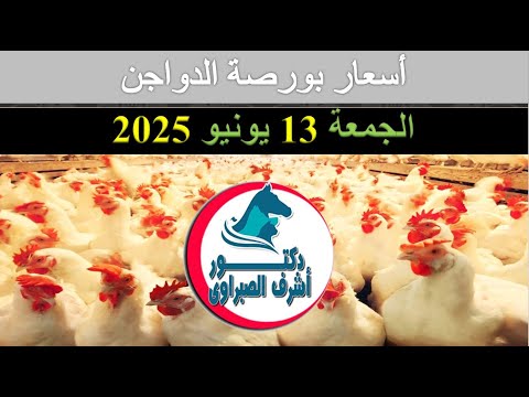 أسعار بورصة الدواجن والكتاكيت والبط والسمان | وأسعار بيض المائدة والعلف اليوم الجمعة 13 / 6 / 2025
