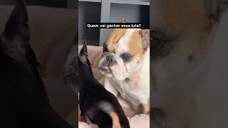 MADALENA TINHA UM GOLPE SECRETO ESCONDIDO 🤣