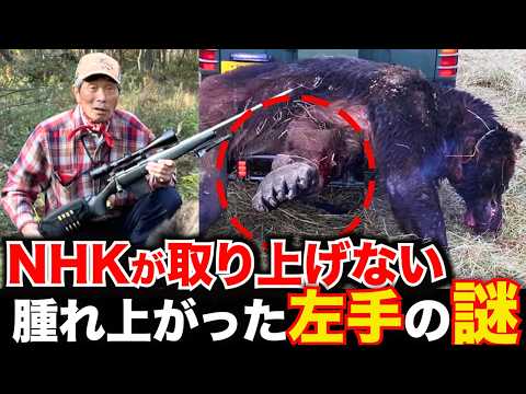 【ヒグマ駆除】NHKは取材NG、怪物ヒグマOSO18の舞台裏