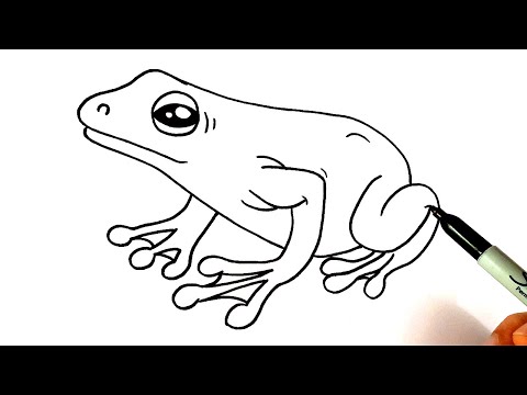 How To Draw a Frog Too Simple Way