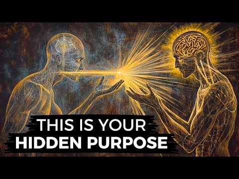 What Is Your Role in the Universe? (The Purpose of Consciousness)