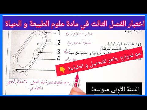 اختبار الفصل الثالث في مادة علوم الطبيعة و الحياة السنة الأولى متوسط مع نموذج جاهز للتحميل و الطباعة