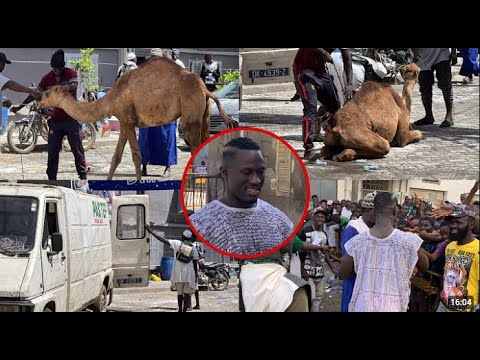 Départ très mystérieux de Ada Fass avec un bain de mystique et sarakh a gogo