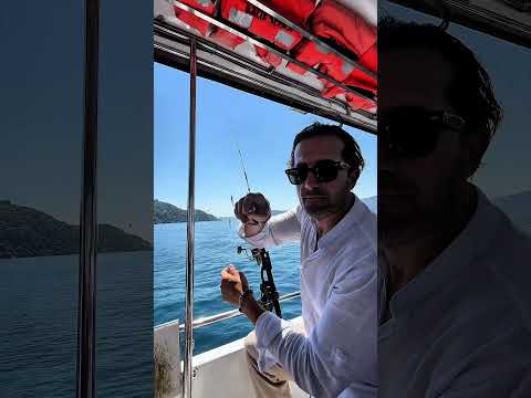 Boğazda balık tutma turu var duydun mu? #balık #fishing #balıkçılık #tekne #istanbul #deniz #fish