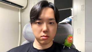 動画投稿を休止していた件について