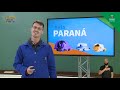 Características e Funções das Pteridófitas