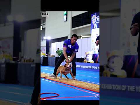 แกรนด์แชมเปี้ยนส์มอนสเตอร์ ศึกษา เกตุนาค แกรนด์แชมเปี้ยนส์มอนสเตอร์