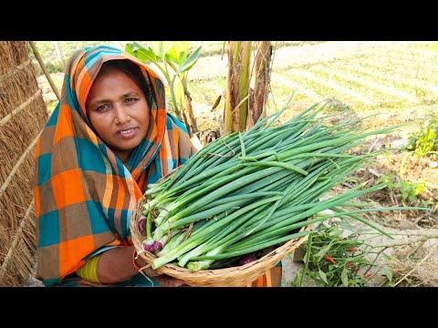 ক্ষেতের টাটকা পেঁয়াজ পাতা তুলে পুকুরের জ্যান্ত পুঁটি মাছ রান্না রেসিপি Onion Leaves Puti Fish Curry