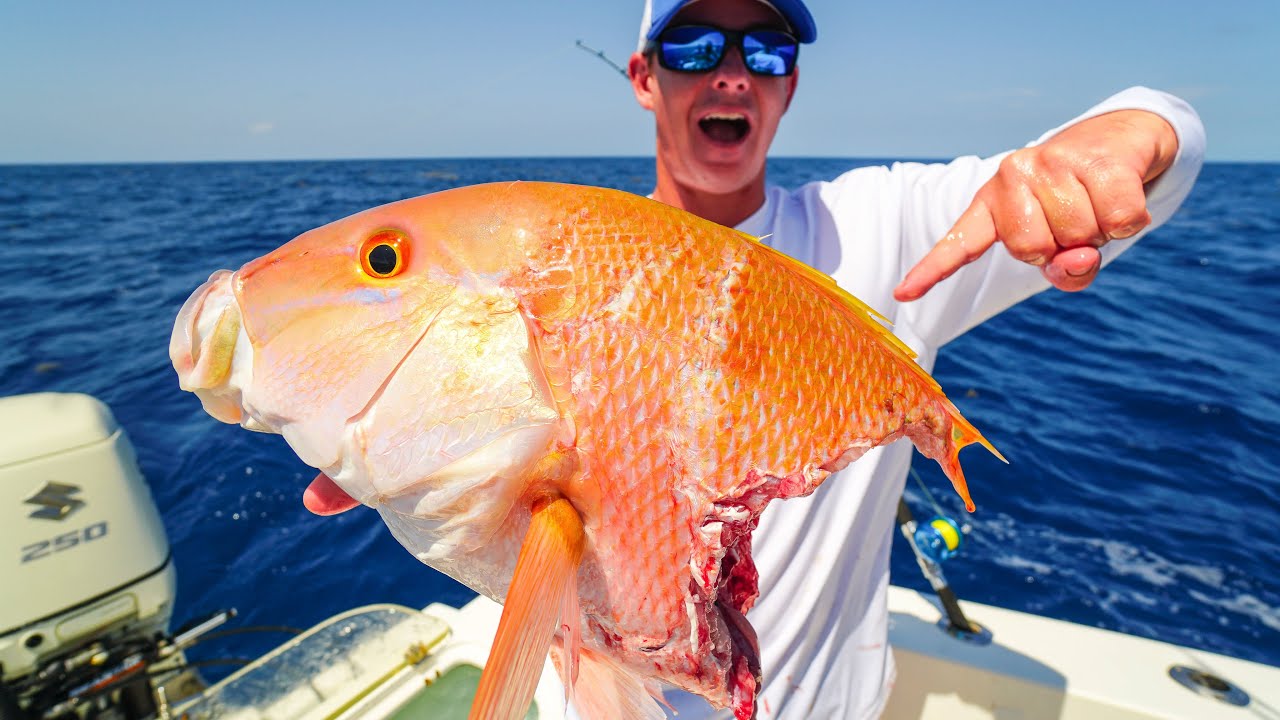 This WASN'T Suppose to Happen. Catch Clean Cook- Snapper